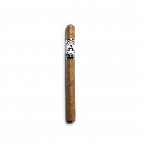 Aladino Connecticut Santi Cigar - 1 Single